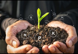 食品原料小百科：植物中能用PQQ嗎？