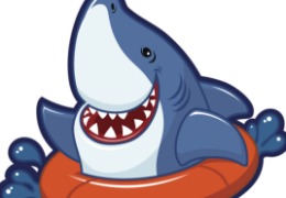 食品原料小百科：硫酸軟骨素可以用在什么地方？