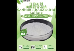 軟骨救星，硫酸軟骨素鈉讓你告別關(guān)節(jié)疼痛！