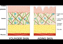正確選擇精華素，讓你的肌膚更緊致、更年輕