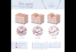羥丙基三甲基氯化銨：透明質(zhì)酸鉀的功效及用途  乙酰化透明質(zhì)酸鈉