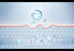 護膚品滲透和吸收是一回事嗎？