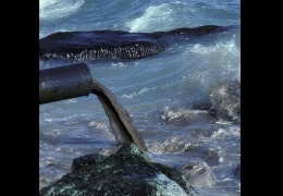 核輻射風(fēng)波，日妝還能用嗎？