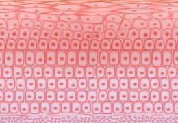 如何保護(hù)皮膚，才能使皮膚看起來健康？